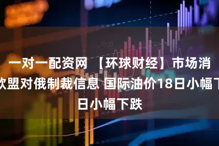一对一配资网 【环球财经】市场消化欧盟对俄制裁信息 国际油价18日小幅下跌